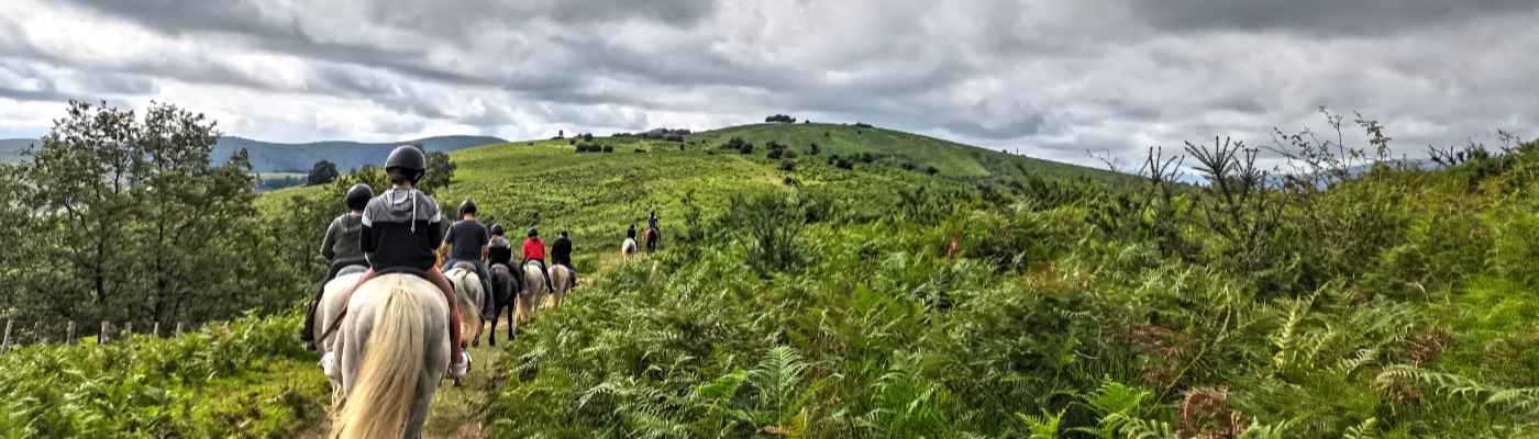 promenades equestres pays basque