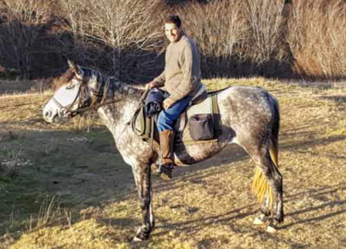 randonnee a cheval pays basque